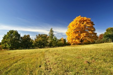 Autumn countryside