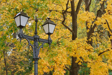 Street lantern on the autumn foliage background