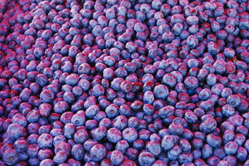 Yummy Blueberries