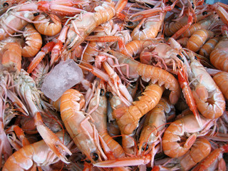 Scampi al mercato