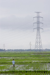 farmer working on a farmland with power lines