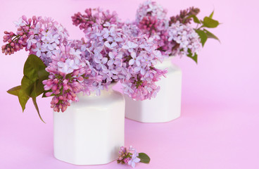 Spring lilacs in white vases. on pastel hued background.