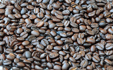 coffee beans background