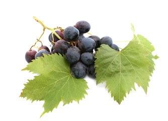 grape with leafs isolated on white