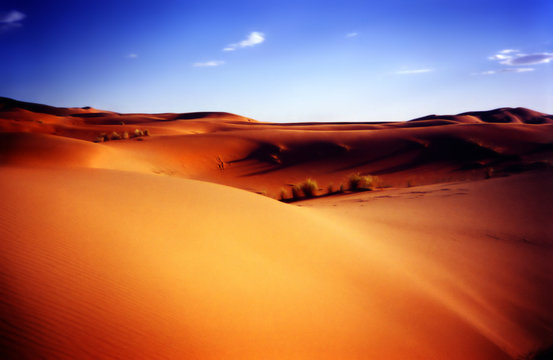 view of an african desert with blue sky © CURAphotography
