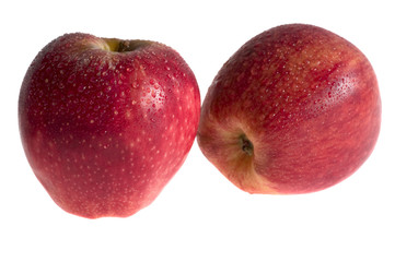 red apples isolated