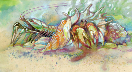 Obraz na płótnie Canvas Lobster, shell and mollusk