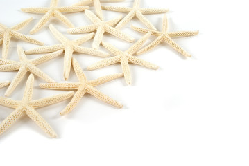 Fototapeta na wymiar Starfish na białym tle