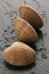 Vongole