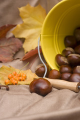 chestnuts spilling out from a yellow bucket
