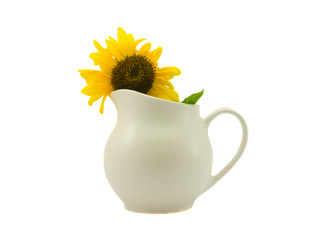 White jug with a sunflower isolated