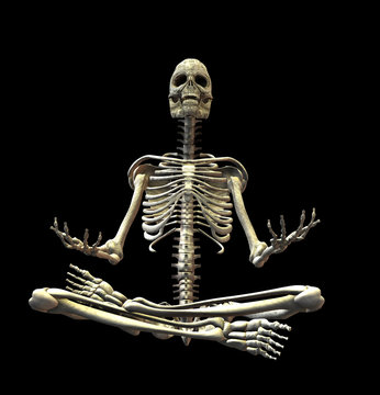 An illustration of a skeleton isolated on a black background
