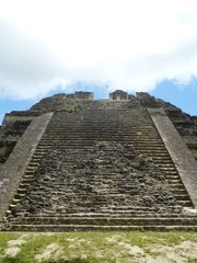 tikal8
