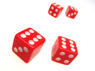 four playing roll the dice on  white background