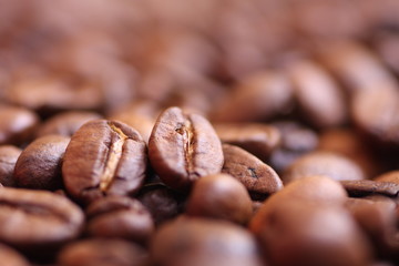 gros plan de grains de café