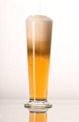 drink series: fresh beer with white foam