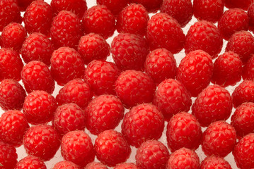 crop red raspberries,  close up