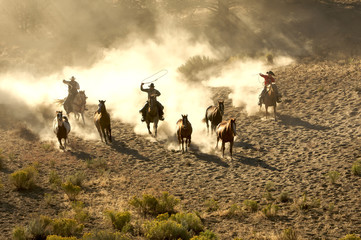 Two Cowboys galloping and roping through the desert