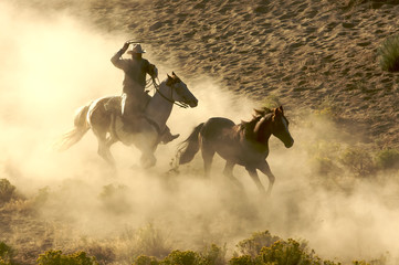 Cowboy galloping and roping wild horses through the desert