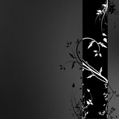 fond floral noiet blanc