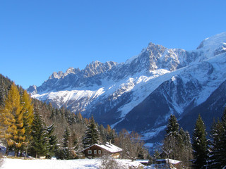 Chalet et aiguilles