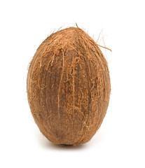 single coconut on white background