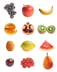 Twelve different fruit on a white background.