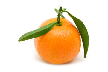 single tangerine on white background