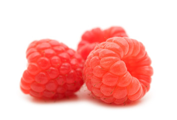 fresh raspberry on white background