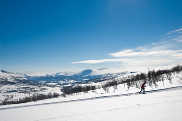 Fototapeta na wymiar Skier exercising