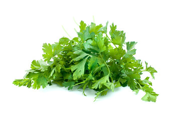 Some parsley isolated on the white background