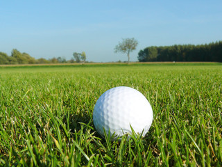 Golfball am Land