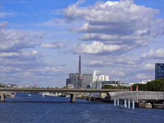 Fototapeta na wymiar Paris la Seine