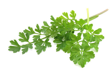fresh-picked parsley