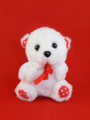Teddy bear with red background