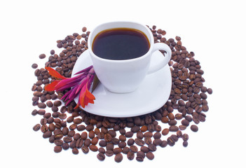 Cup of coffee and red flower