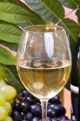 wine composition