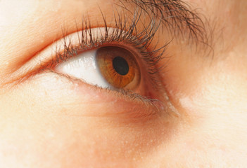 Obraz premium Macro of a beautiful eye