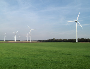 ökologie, windpark