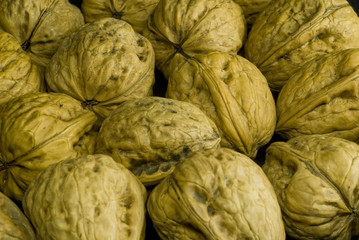 Fototapeta na wymiar A closeup texture of some walnuts