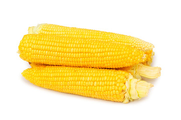 Corn cobs  isolated on the white background