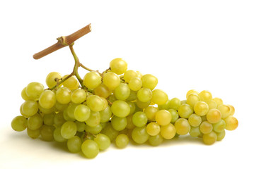 grappe de raisin blanc 3
