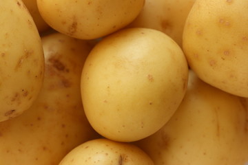 Close up shot of freshly washed potatoes