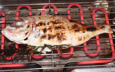 pesce alla griglia