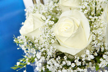 Bouquet of white roses on blue