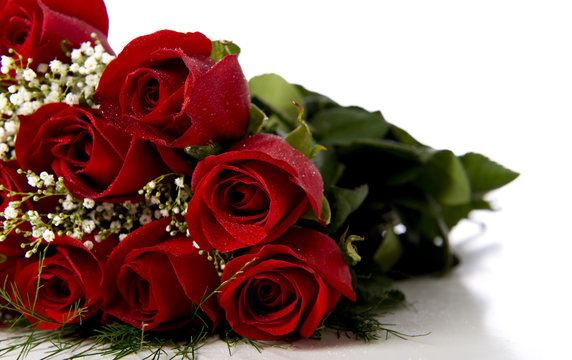 A group of red roses on a white background with copy spcae