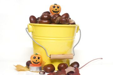 yellow bucket full of chestnuts isolated on white
