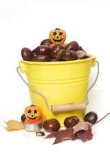 yellow bucket full of chestnuts isolated on white