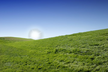 Green grass hills on golf course