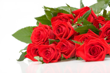 bunch of red roses on white background